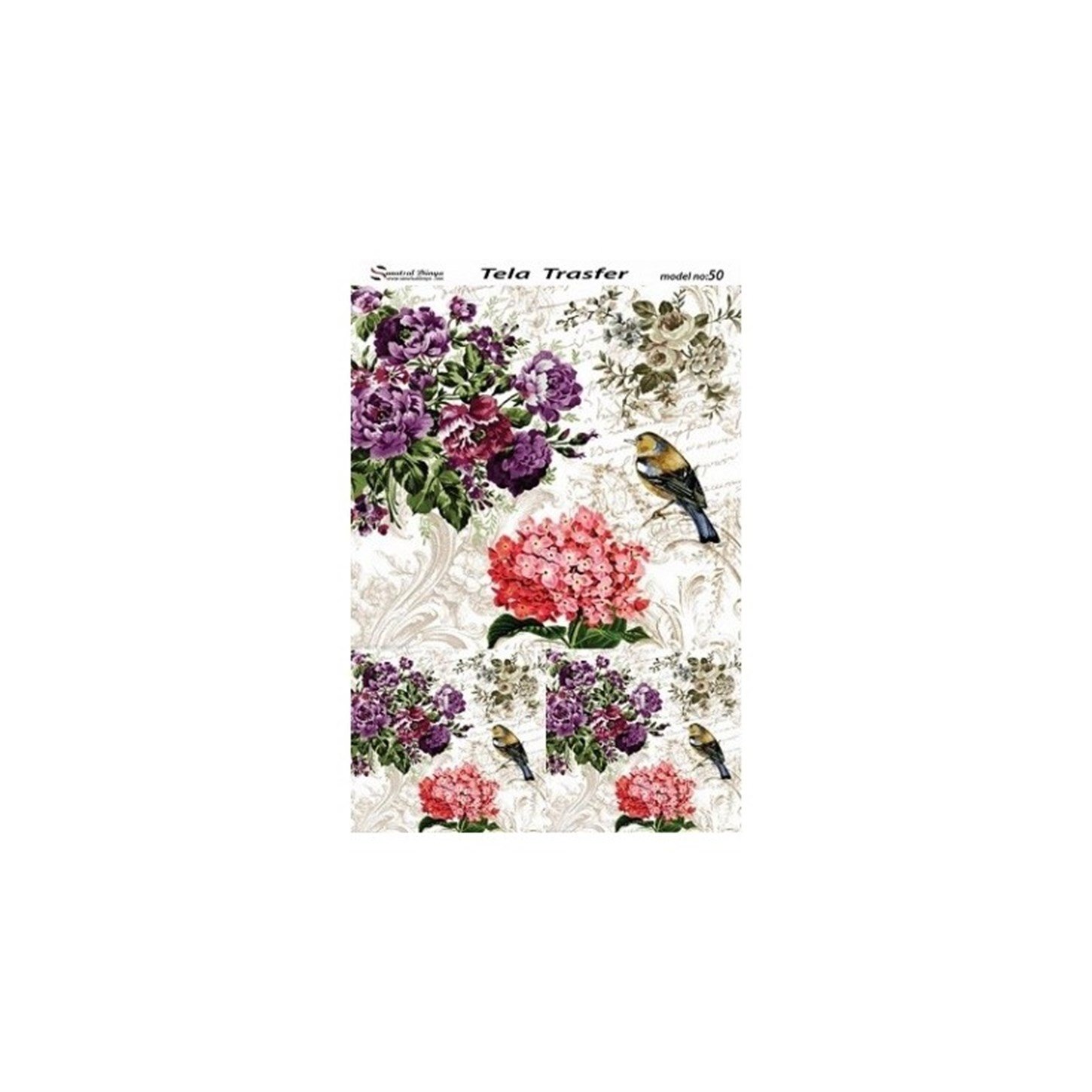Модель 50 - Тела Трансфер 30х42