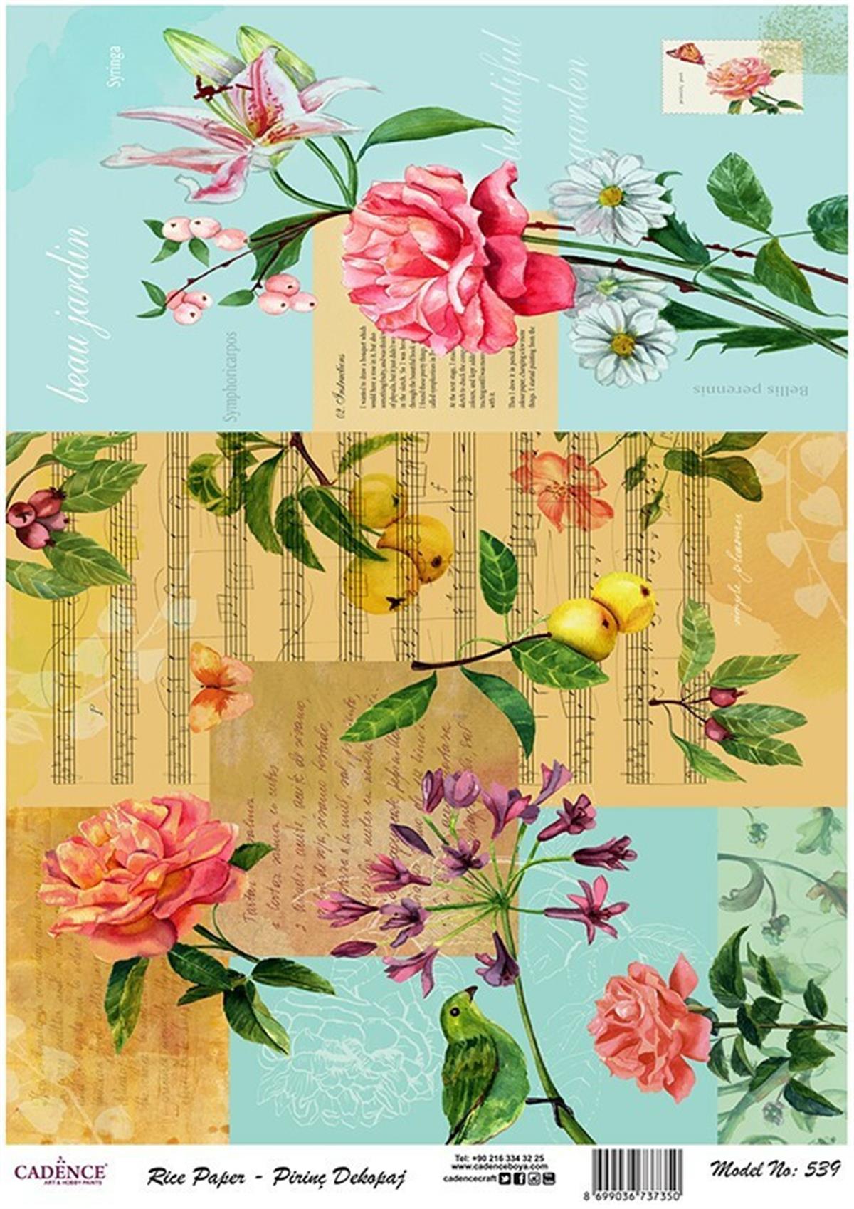 إيقاع ورق الأرز موديل 539 30x42