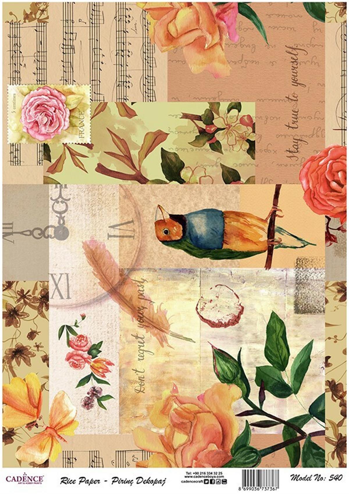 إيقاع ورق الأرز موديل 540 30x42