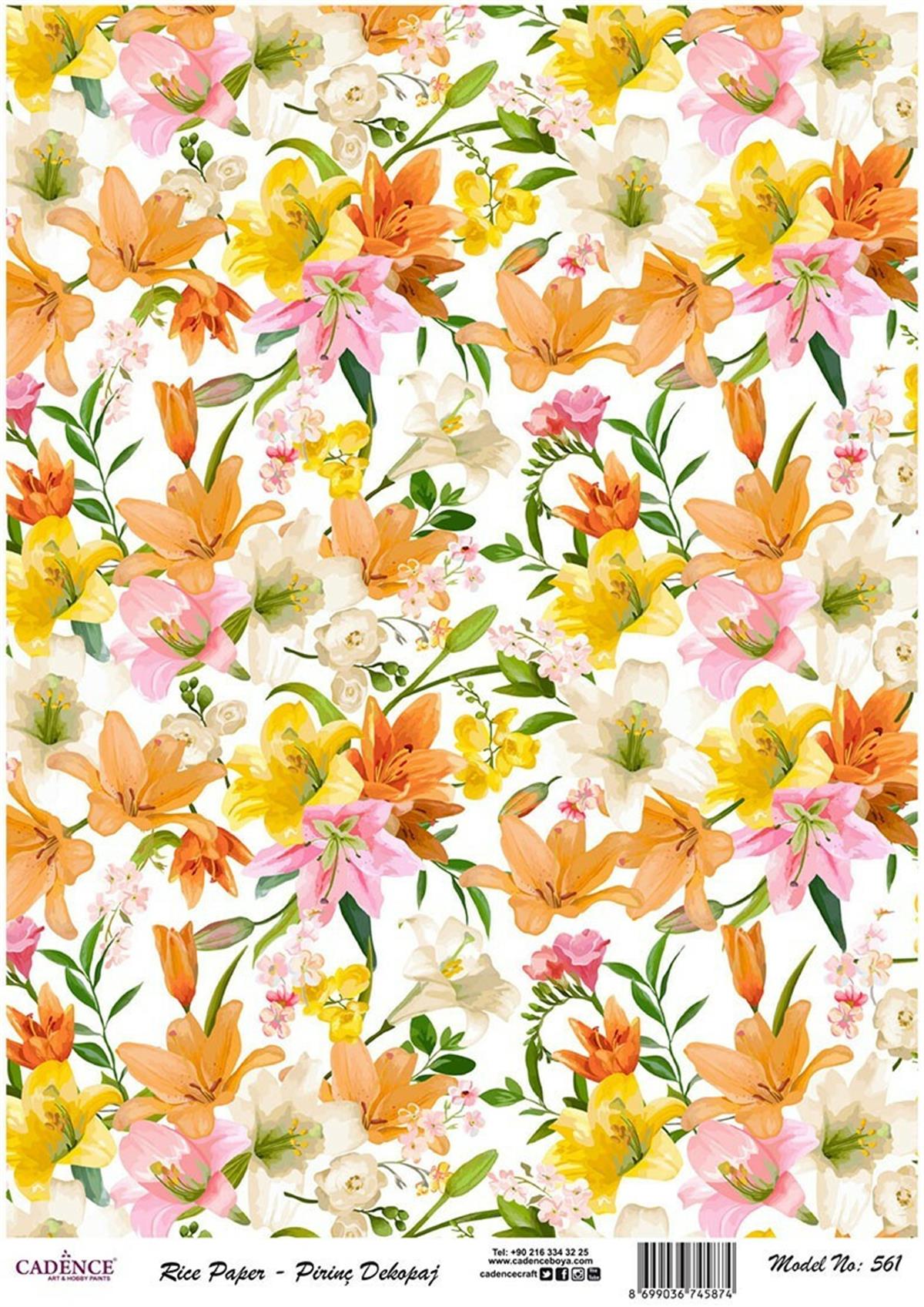 إيقاع ورق الأرز موديل 561 30x42