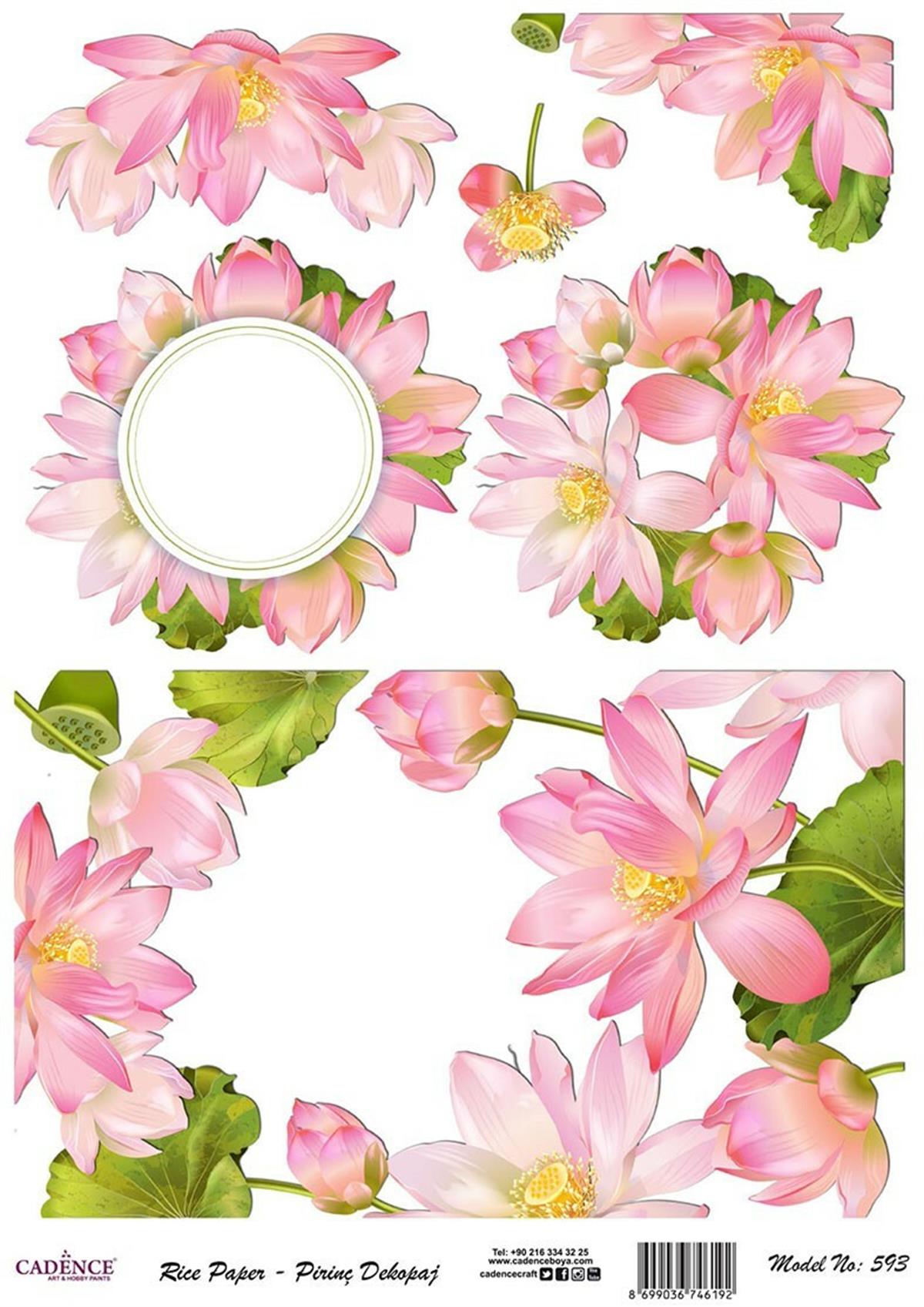 Рисовая бумага Cadence, модель 593, 30x42