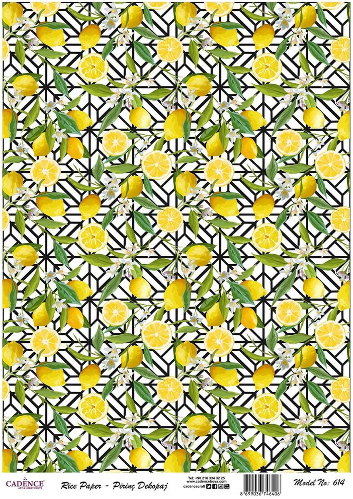 إيقاع ورق الأرز موديل 614 30x42