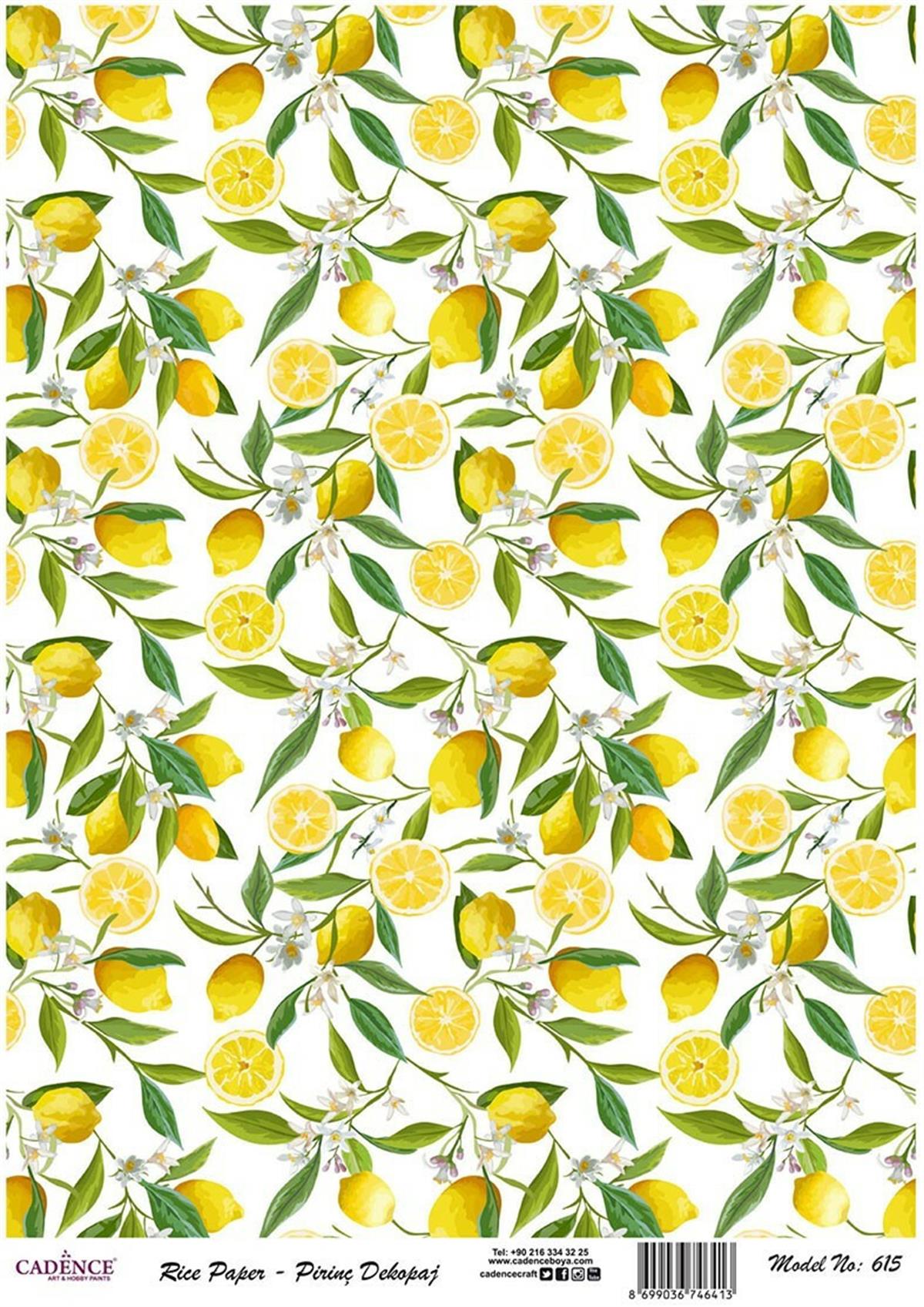 إيقاع ورق الأرز موديل 615 30x42