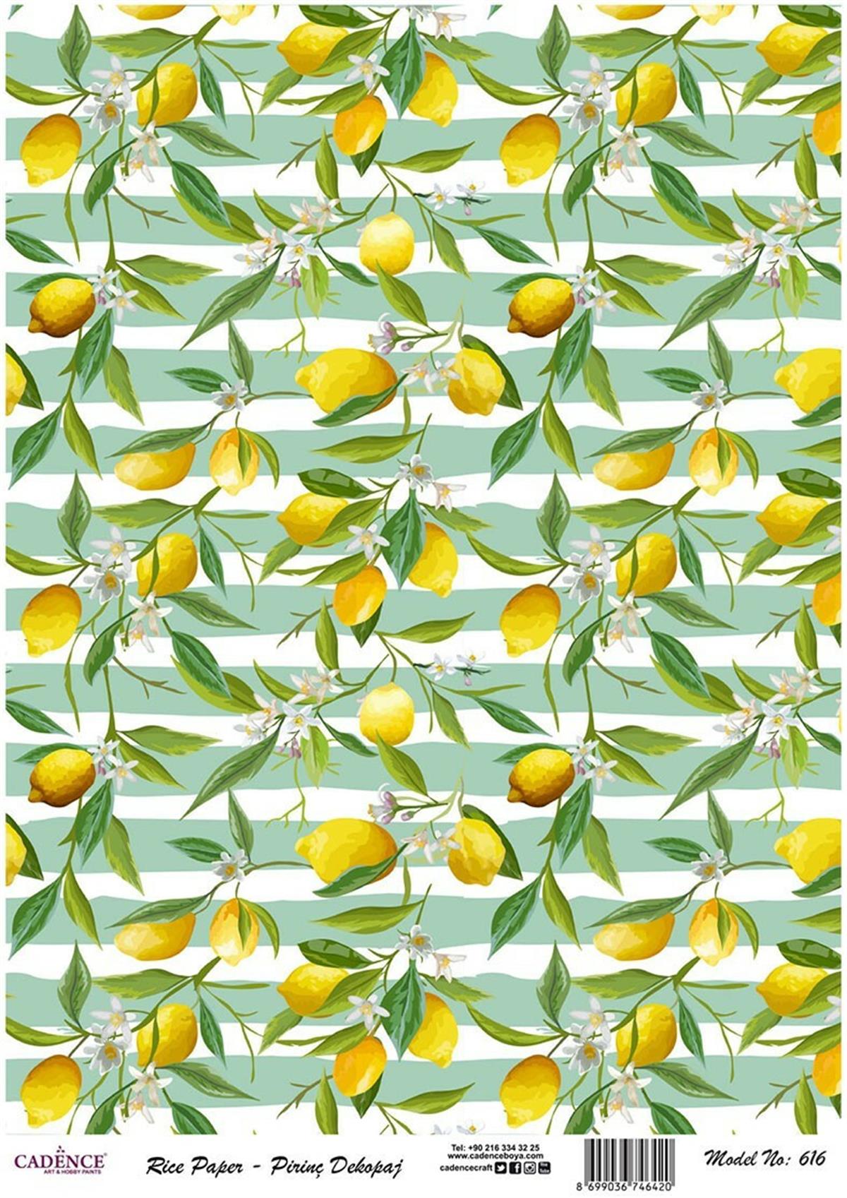 إيقاع ورق الأرز موديل 616 30x42