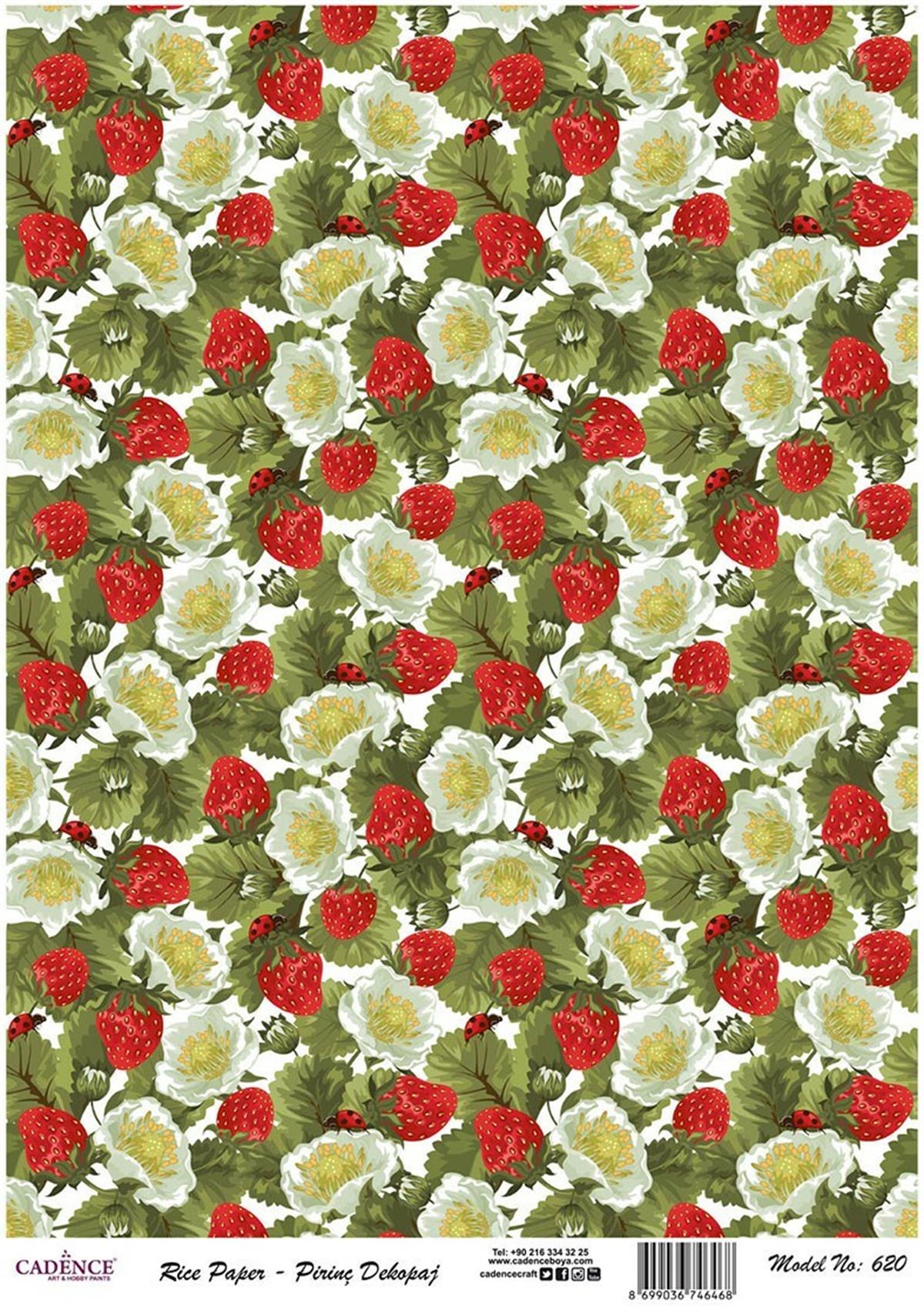 إيقاع ورق الأرز موديل 620 30x42