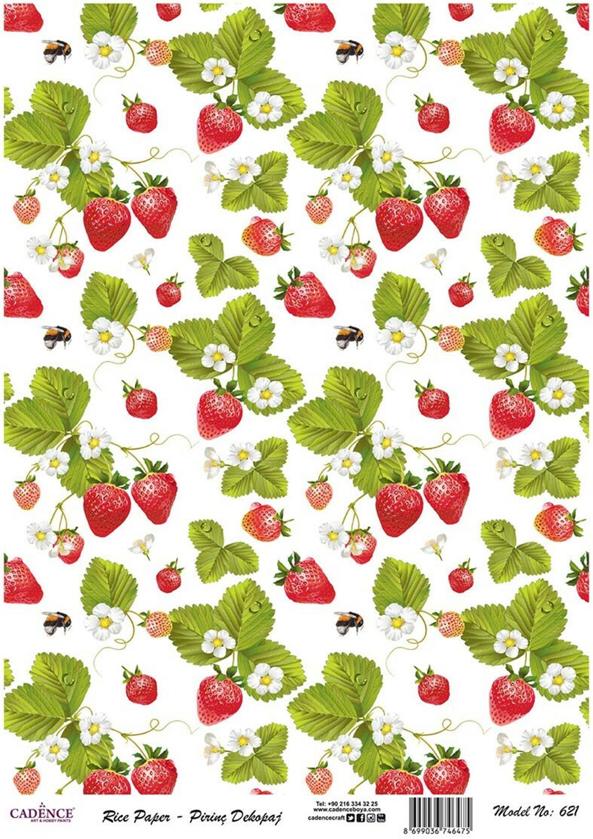 إيقاع ورق الأرز موديل 621 30x42