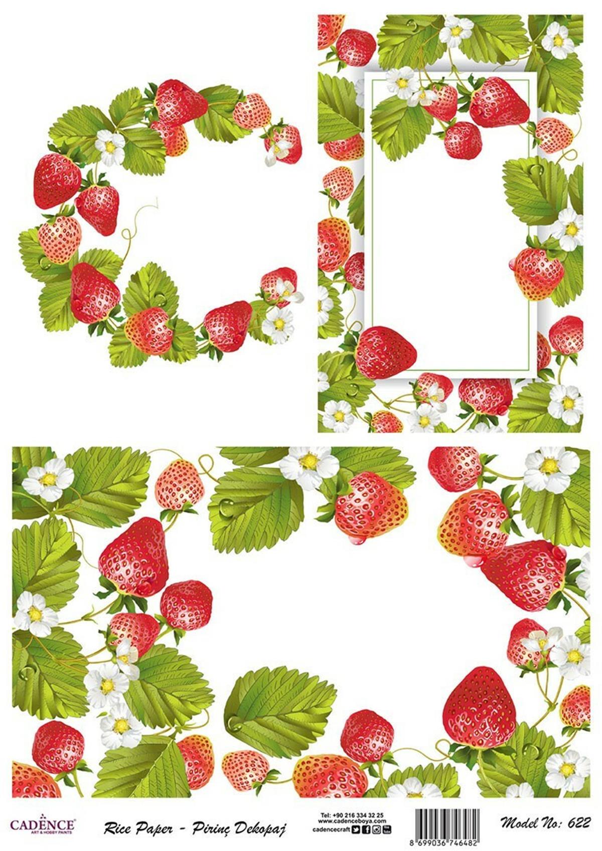 إيقاع ورق الأرز موديل 622 30x42