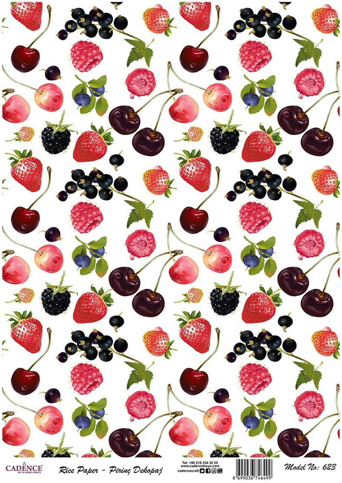 إيقاع ورق الأرز موديل 623 30x42