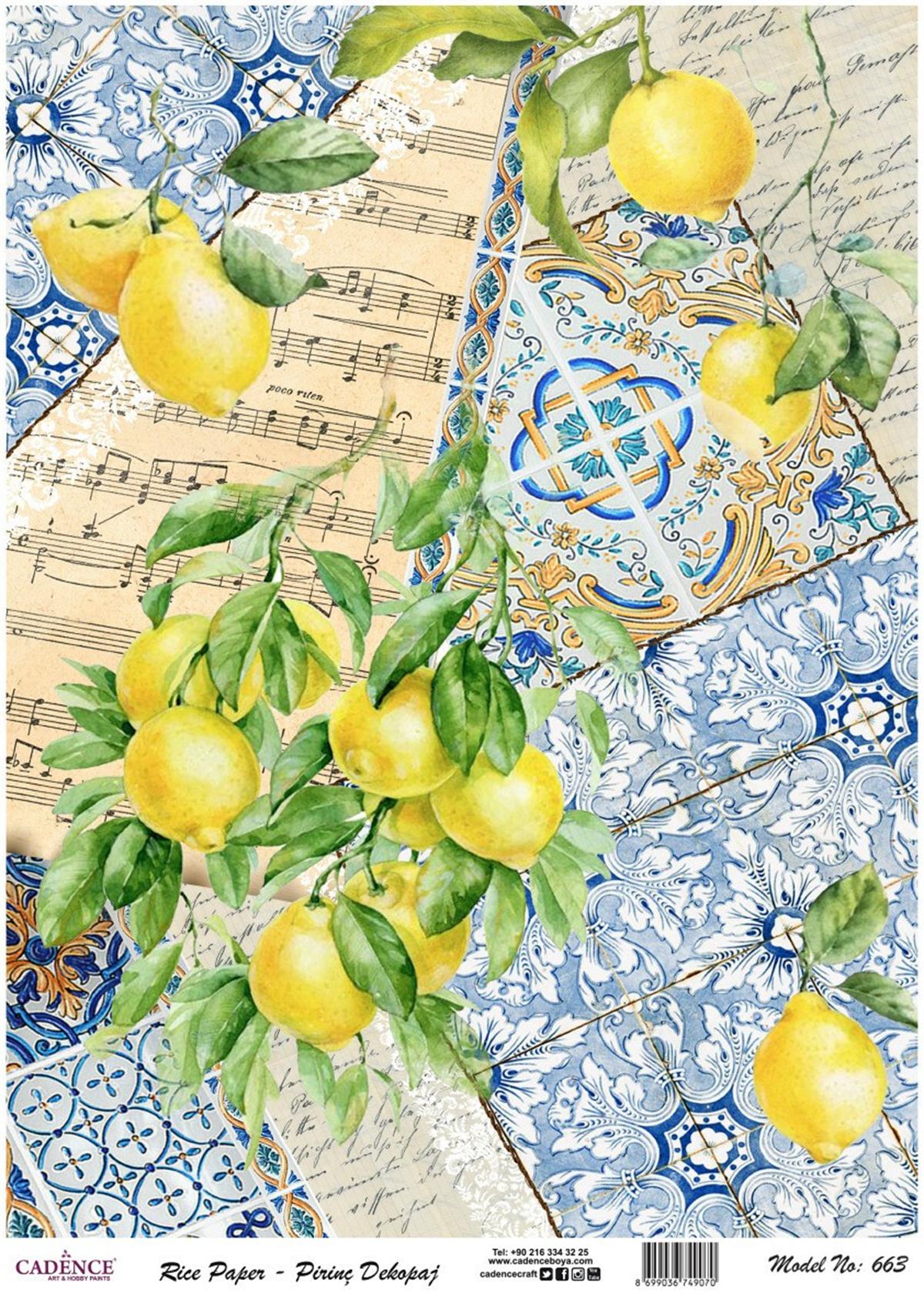 إيقاع ورق الأرز موديل 663 30x42