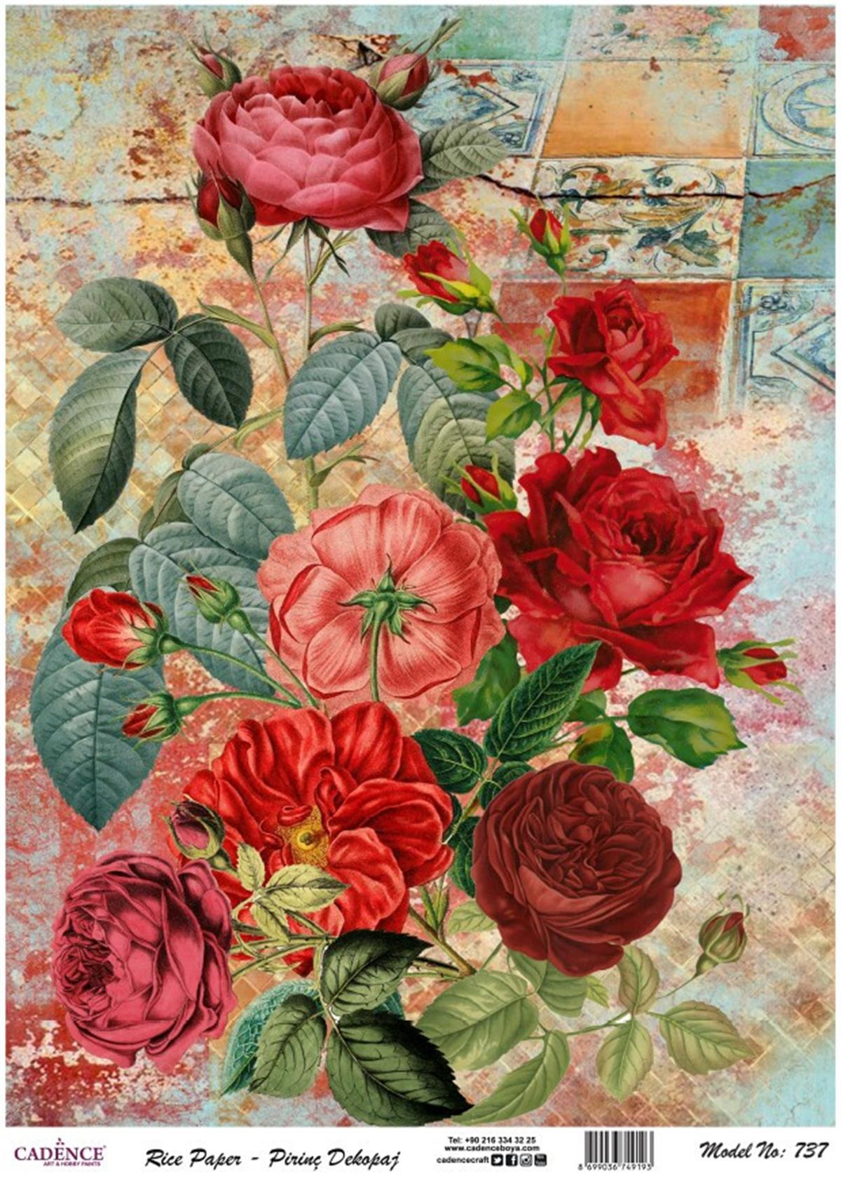 إيقاع ورق الأرز السلسلة الحديثة موديل 737 30x42