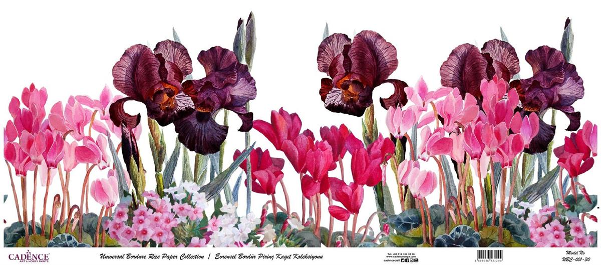 مجموعة ورق الأرز ذات الحدود العالمية بخلفية بيضاء UBC-001 30x68