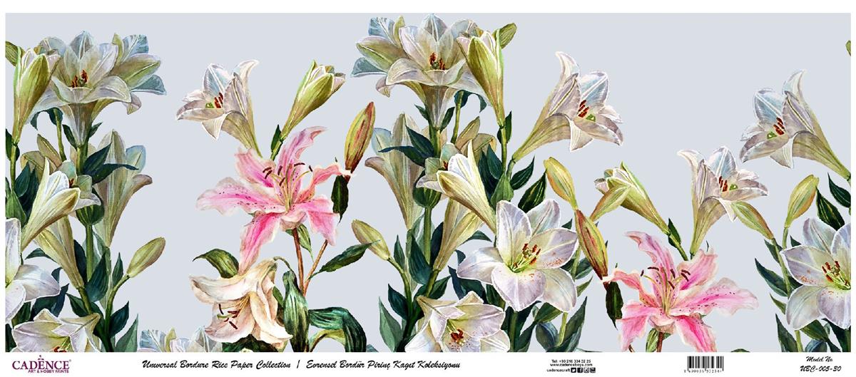 مجموعة ورق الأرز ذات الحدود العالمية بخلفية بيضاء UBC-005 30x68