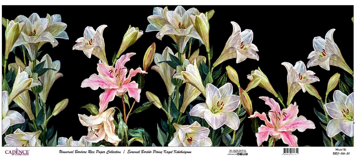 مجموعة ورق الأرز ذات الحدود العالمية خلفية سوداء UBC-006 30x68