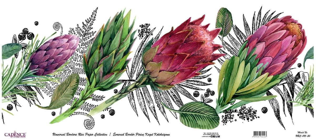 مجموعة ورق الأرز ذات الحدود العالمية بخلفية بيضاء UBC-015 30x68