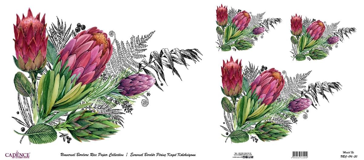 مجموعة ورق الأرز ذات الحدود العالمية بخلفية بيضاء UBC-016 30x68