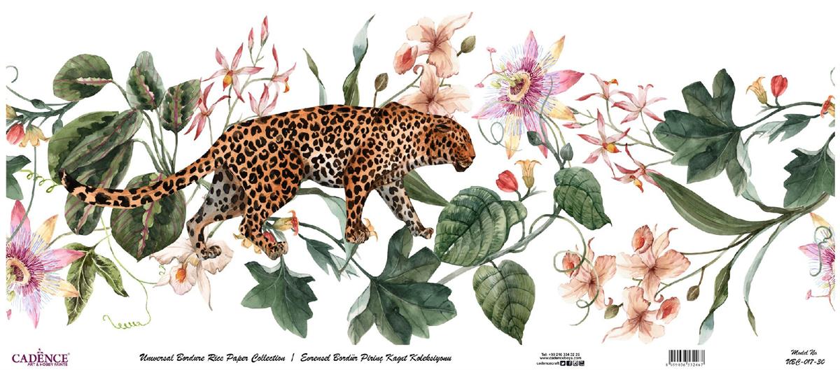 مجموعة ورق الأرز ذات الحدود العالمية بخلفية بيضاء UBC-017 30x68