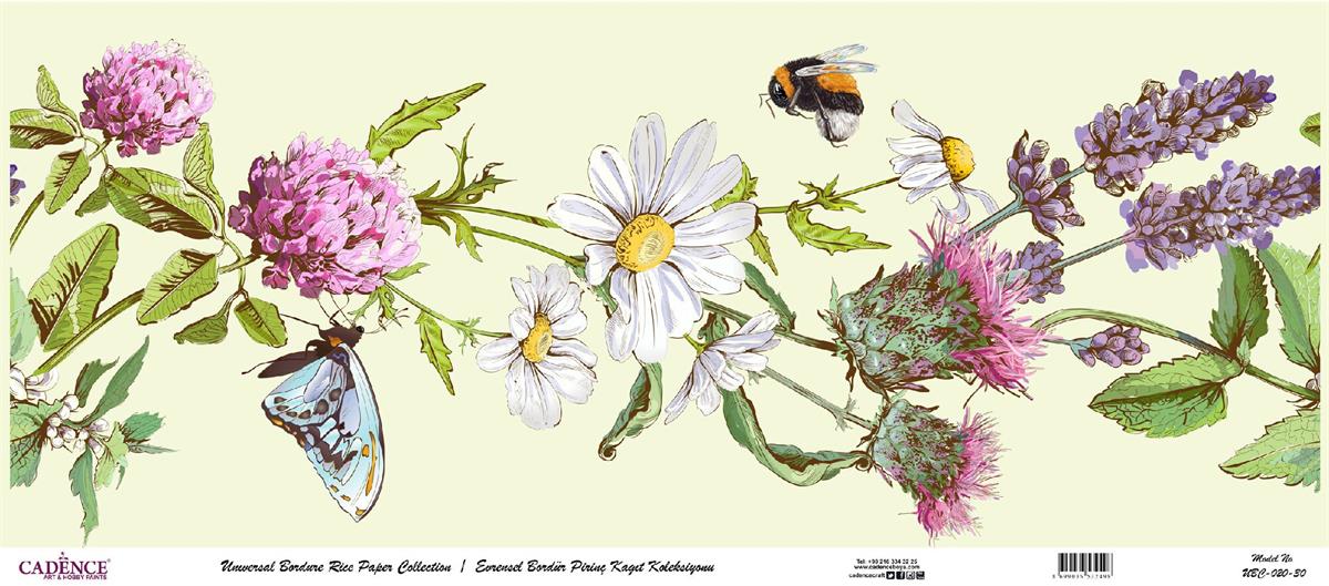 مجموعة ورق الأرز ذات الحدود العالمية بخلفية بيضاء UBC-020 30x68