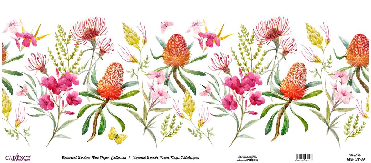 Универсальная граница коллекции рисовой бумаги на белом фоне Ubc-023 30х68