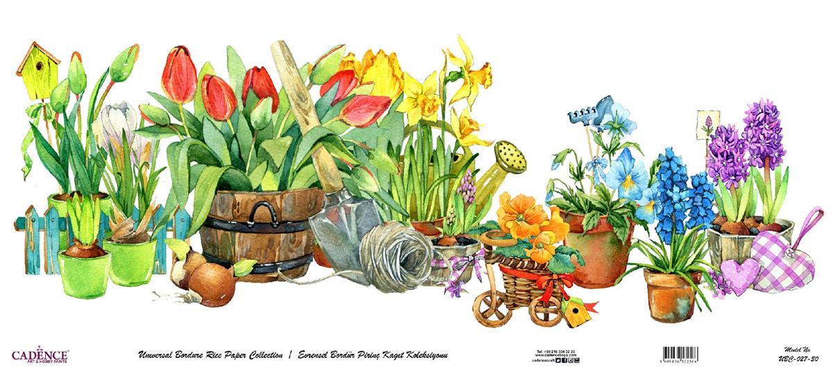 مجموعة ورق الأرز ذات الحدود العالمية بخلفية بيضاء UBC-027 60x140