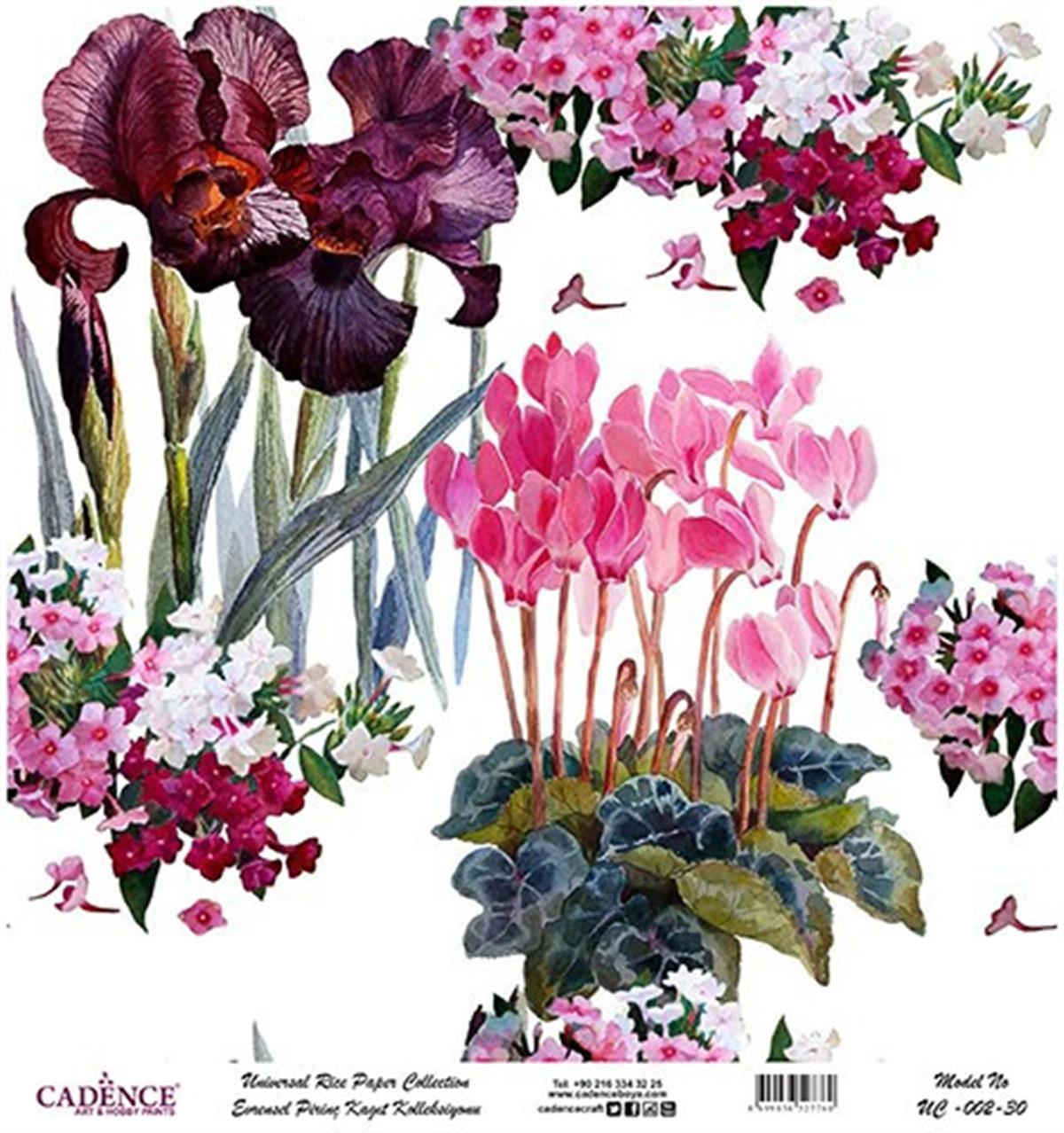 خلفية بيضاء من ورق الأرز العالمي Uc-002 30x30