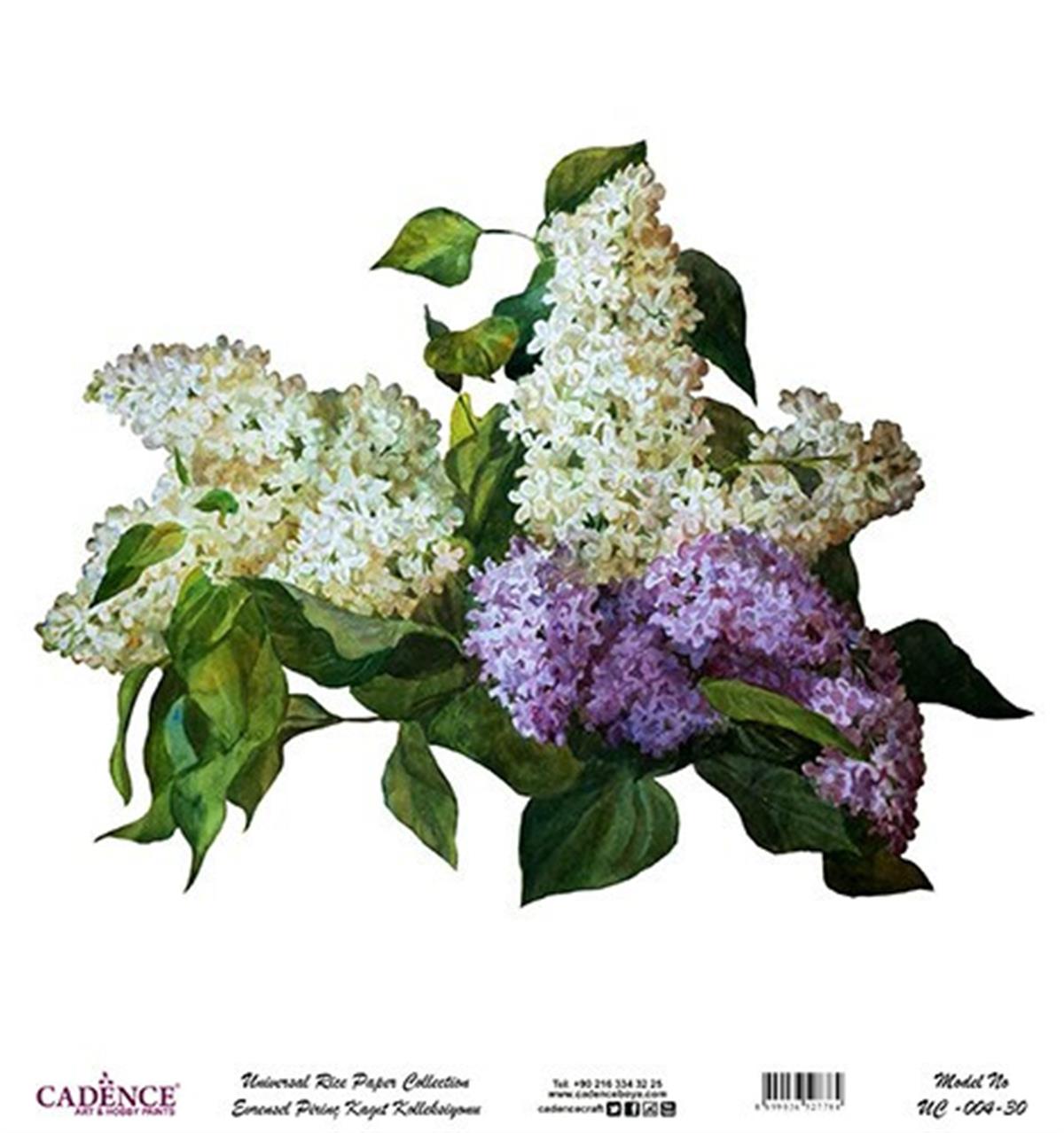 خلفية بيضاء من ورق الأرز العالمي Uc-004 مقاس 60x60