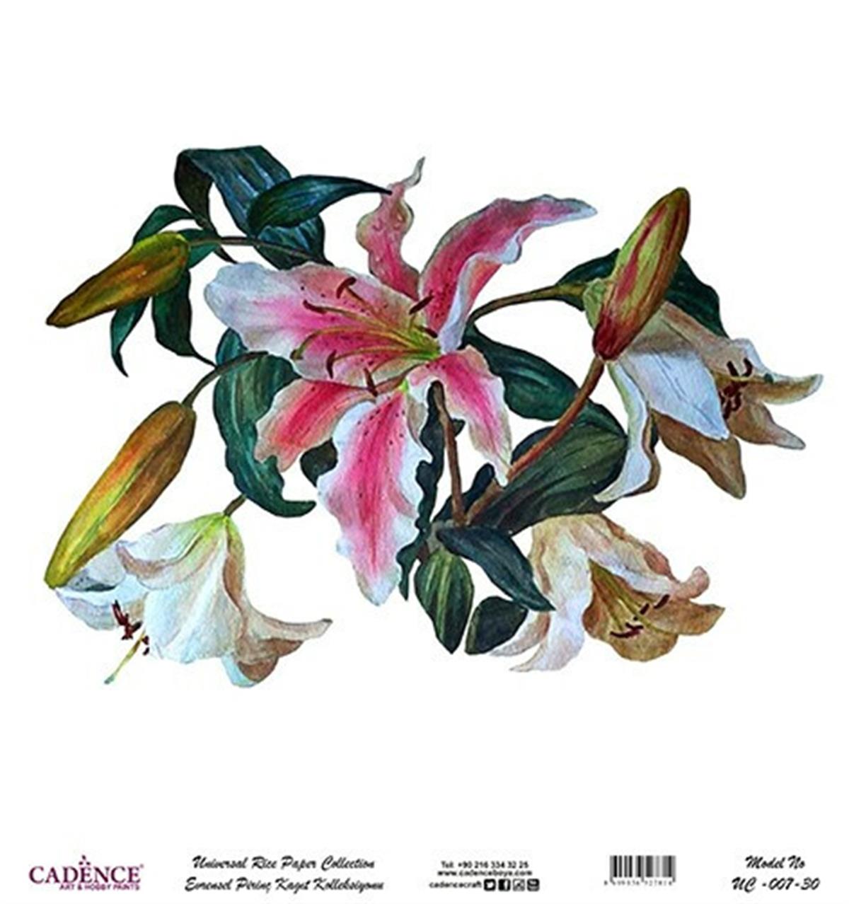 Универсальный белый фон из рисовой бумаги UC-007 30x30