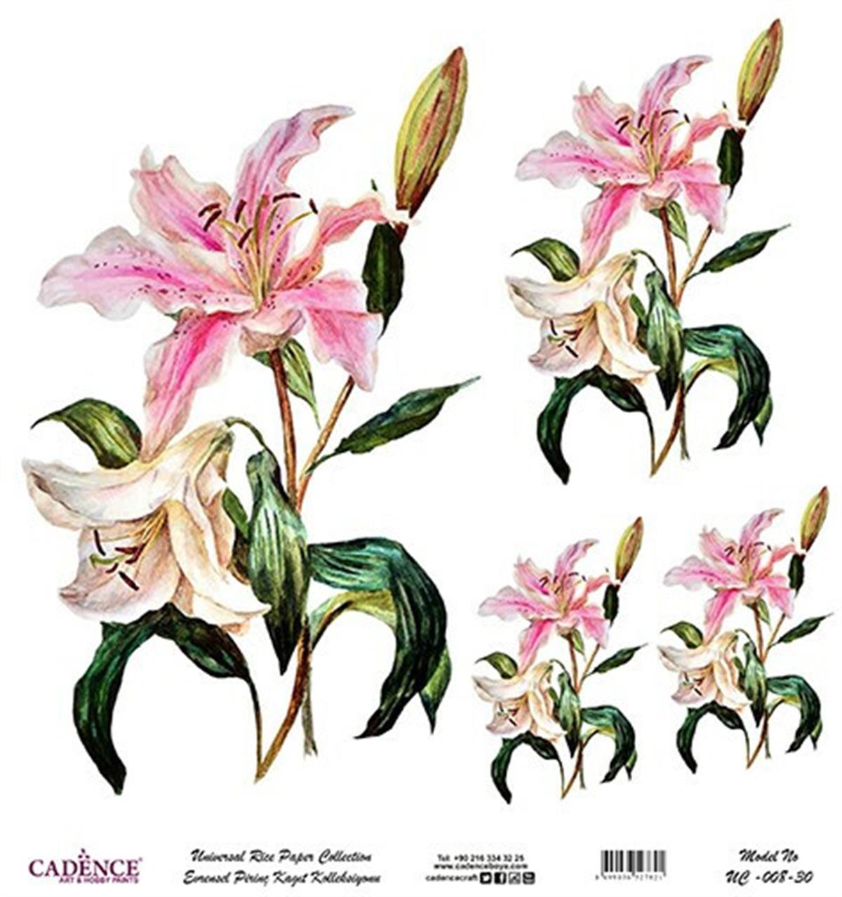 خلفية بيضاء من ورق الأرز العالمي Uc-008 30x30