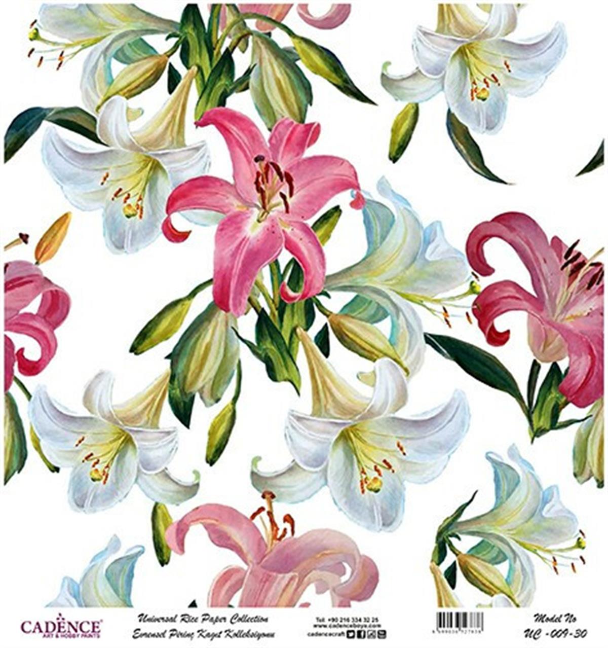 خلفية بيضاء من ورق الأرز العالمي Uc-009 30x30