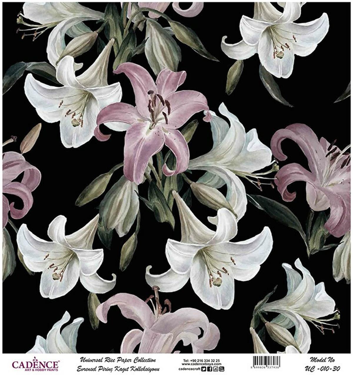 ورق الأرز العالمي خلفية سوداء Uc-010 60x60