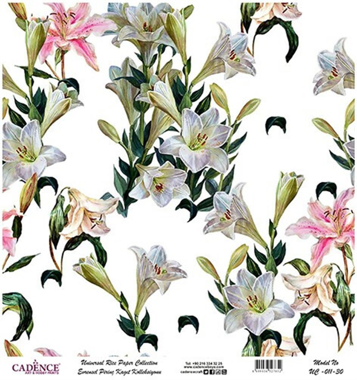 خلفية بيضاء من ورق الأرز العالمي Uc-011 30x30