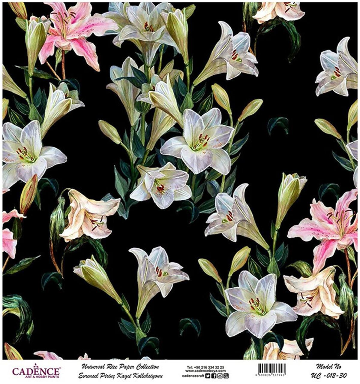 ورق الأرز العالمي خلفية سوداء Uc-012 60x60