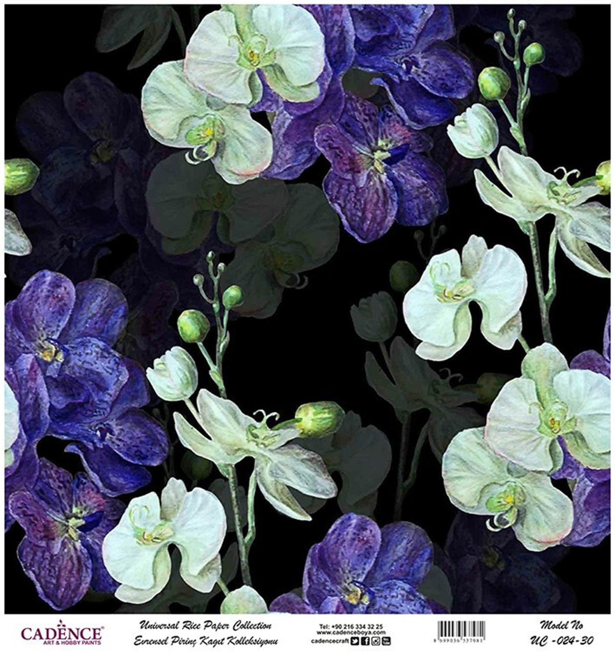 ورق الأرز العالمي خلفية سوداء Uc-024 60x60