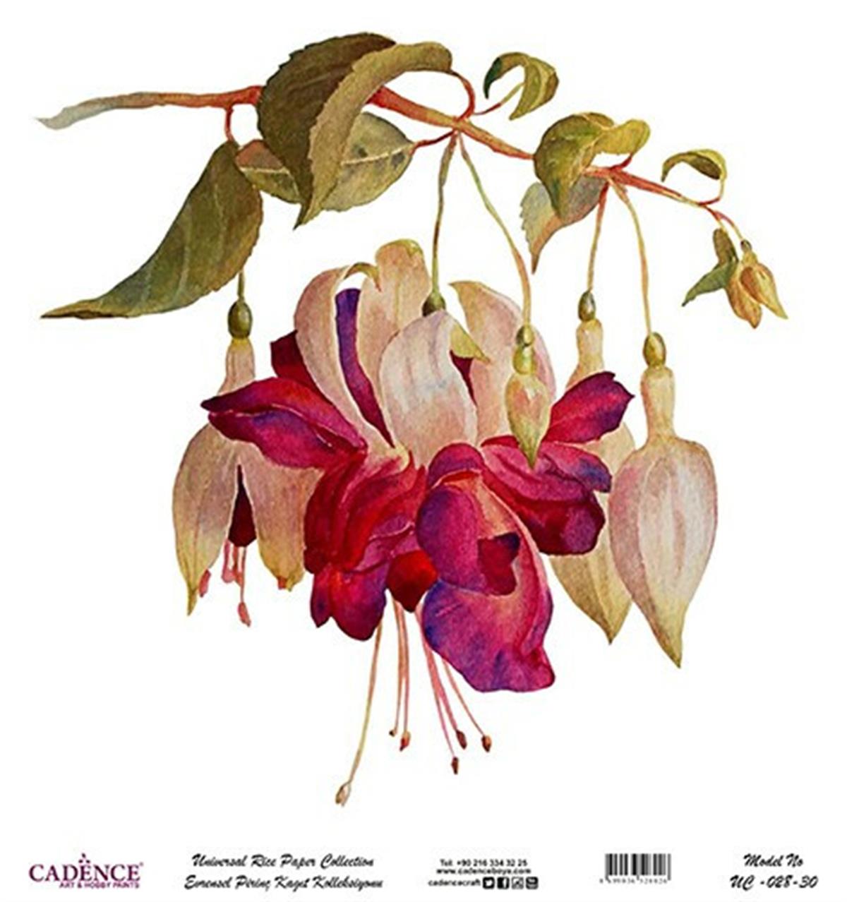 خلفية بيضاء من ورق الأرز العالمي Uc-028 مقاس 60x60