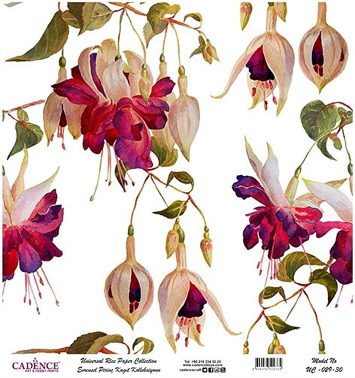 خلفية بيضاء من ورق الأرز العالمي Uc-029 مقاس 60x60