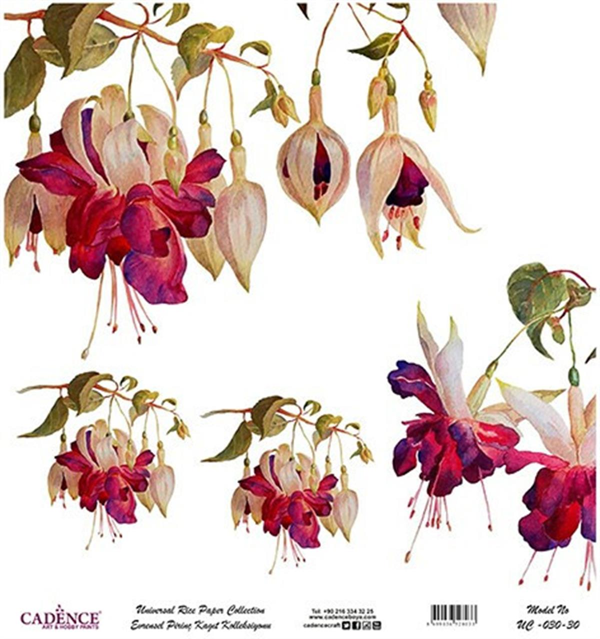 خلفية بيضاء من ورق الأرز العالمي Uc-030 30x30