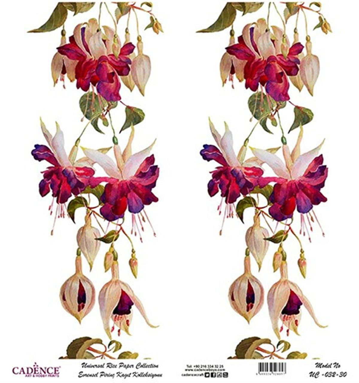 خلفية بيضاء من ورق الأرز العالمي Uc-032 30x30