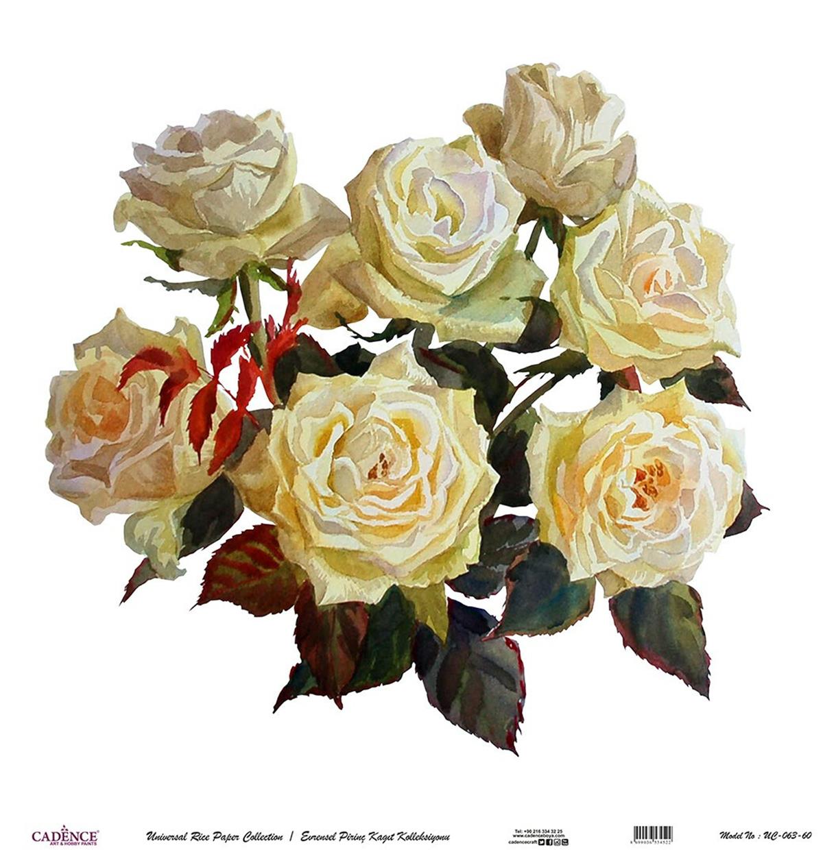 خلفية بيضاء من ورق الأرز العالمي Uc-063 30x30