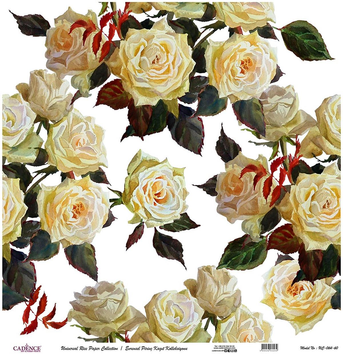 خلفية بيضاء من ورق الأرز العالمي Uc-064 مقاس 60x60