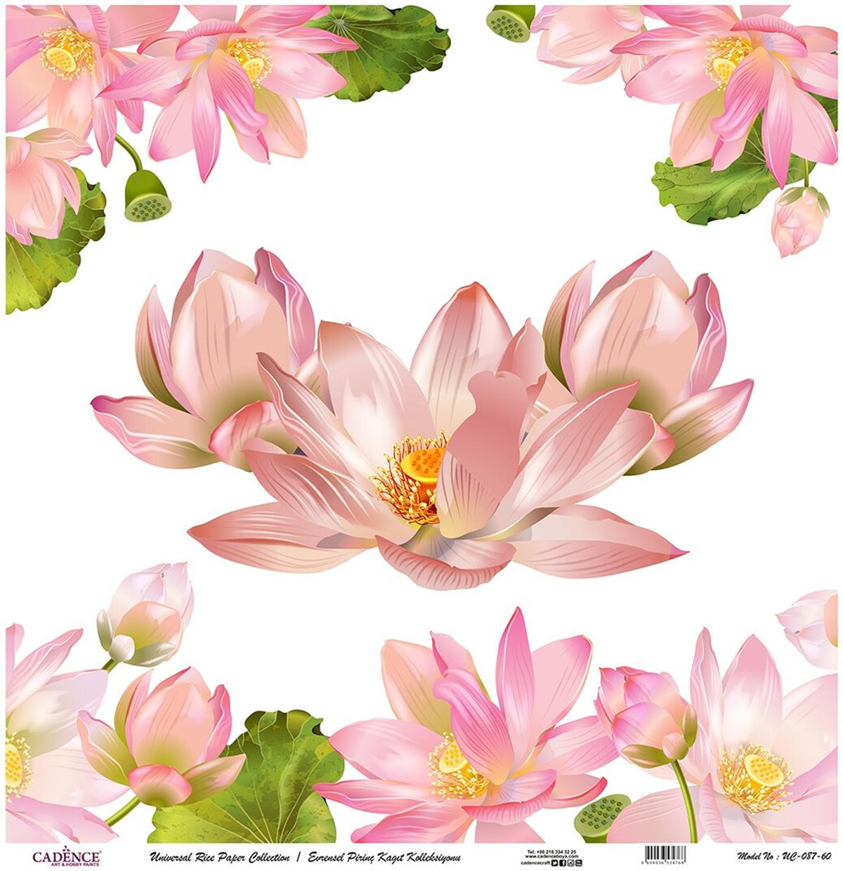 خلفية بيضاء من ورق الأرز العالمي Uc-087 60x60