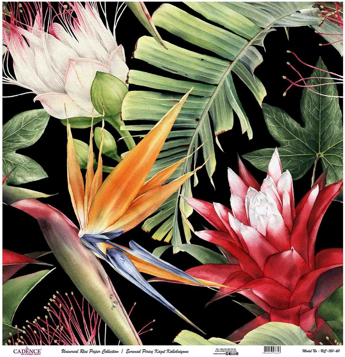 ورق الأرز العالمي خلفية سوداء Uc-150 90x90