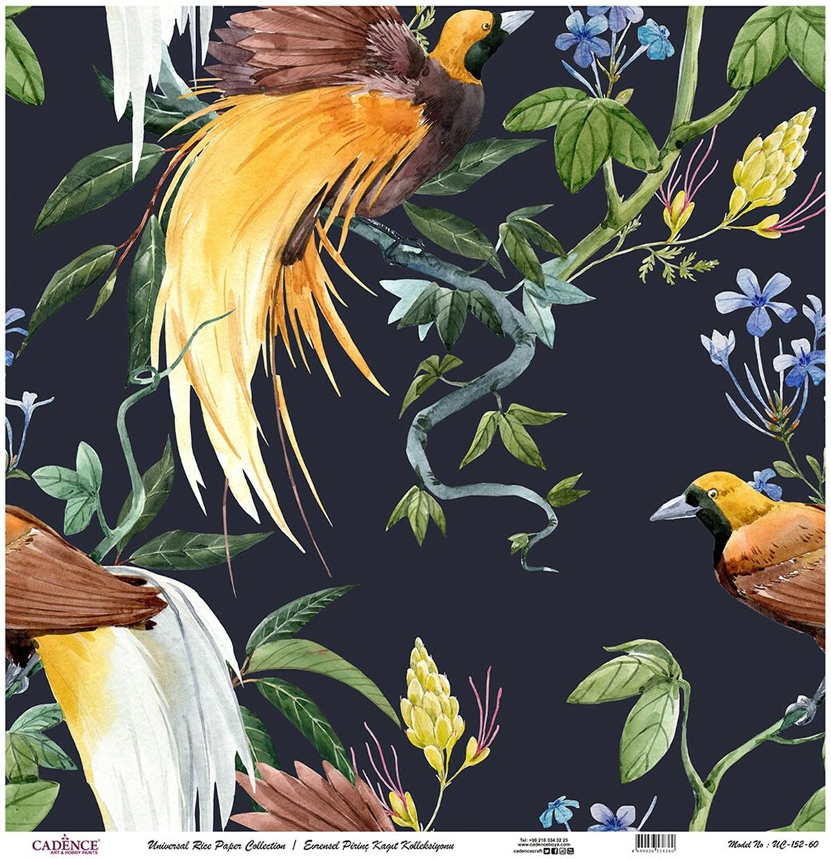 ورق الأرز العالمي بخلفية سوداء Uc-152 30x30