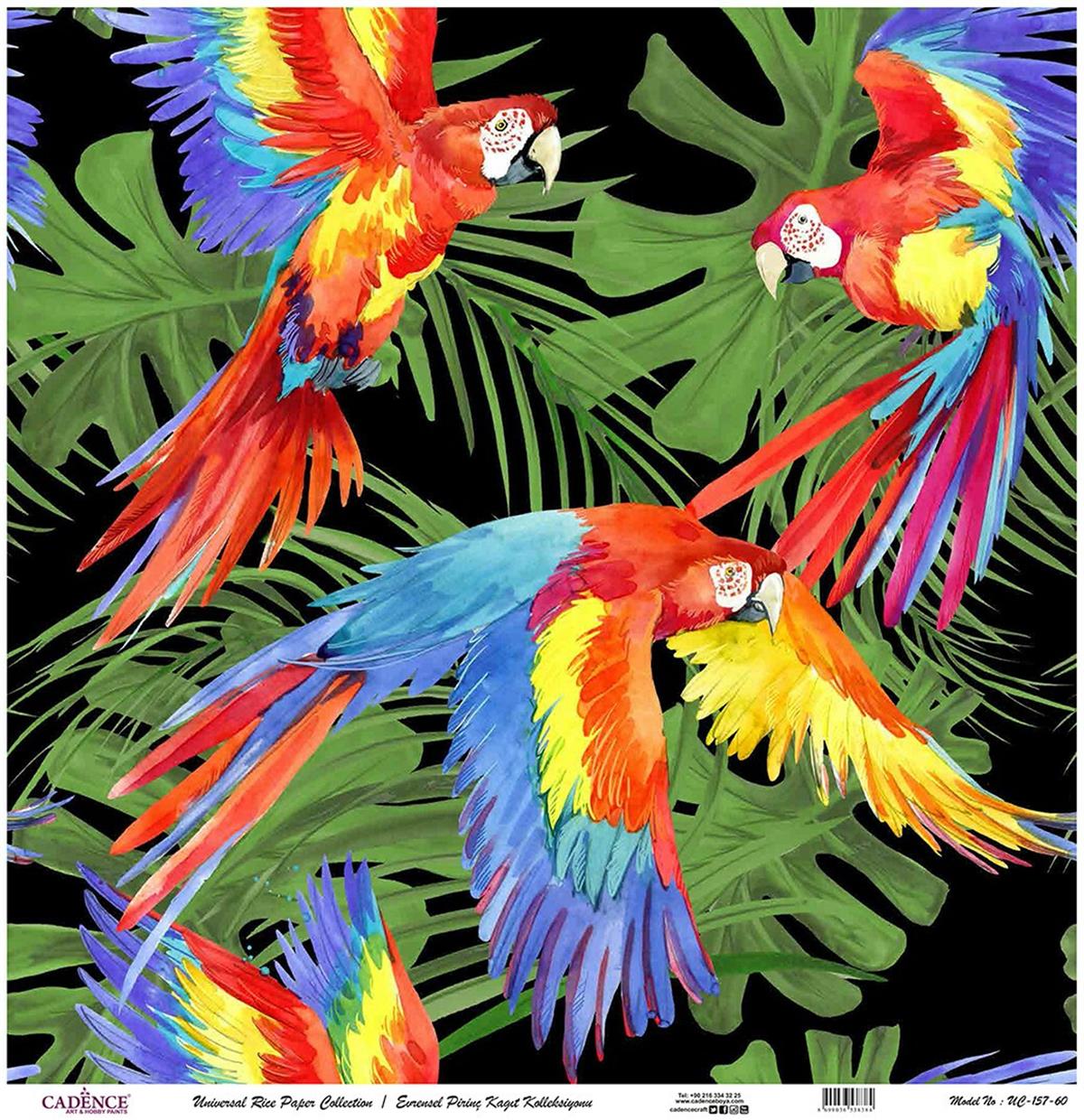 ورق الأرز العالمي خلفية سوداء Uc-157 90x90