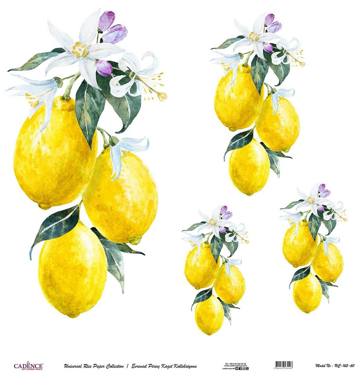 خلفية بيضاء من ورق الأرز العالمي Uc-165 مقاس 90x90