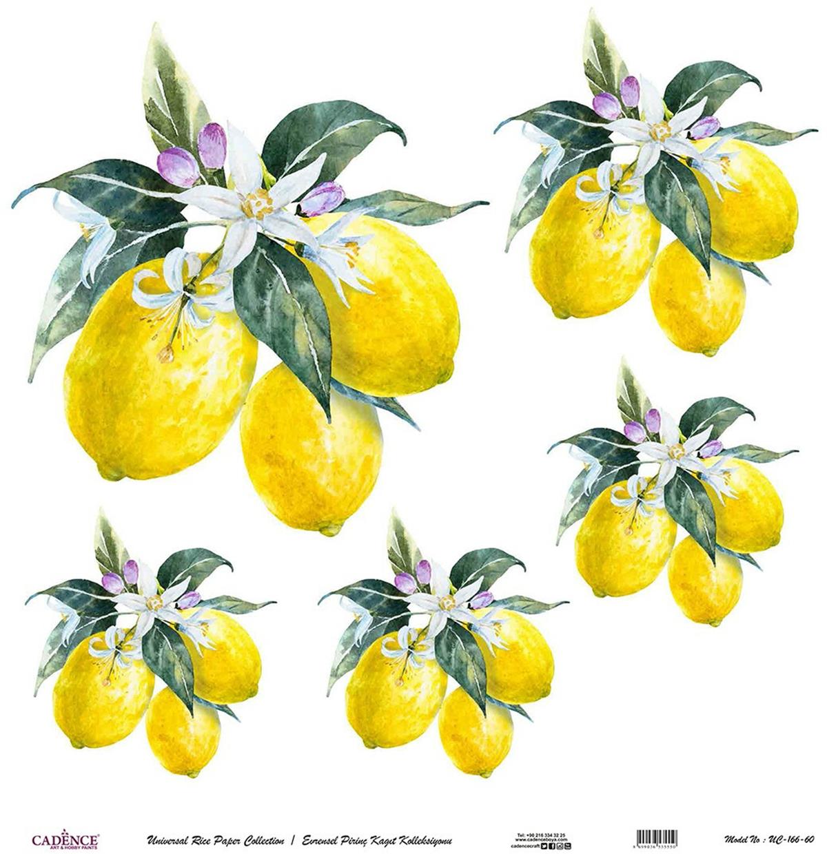 خلفية بيضاء من ورق الأرز العالمي Uc-166 مقاس 60x60