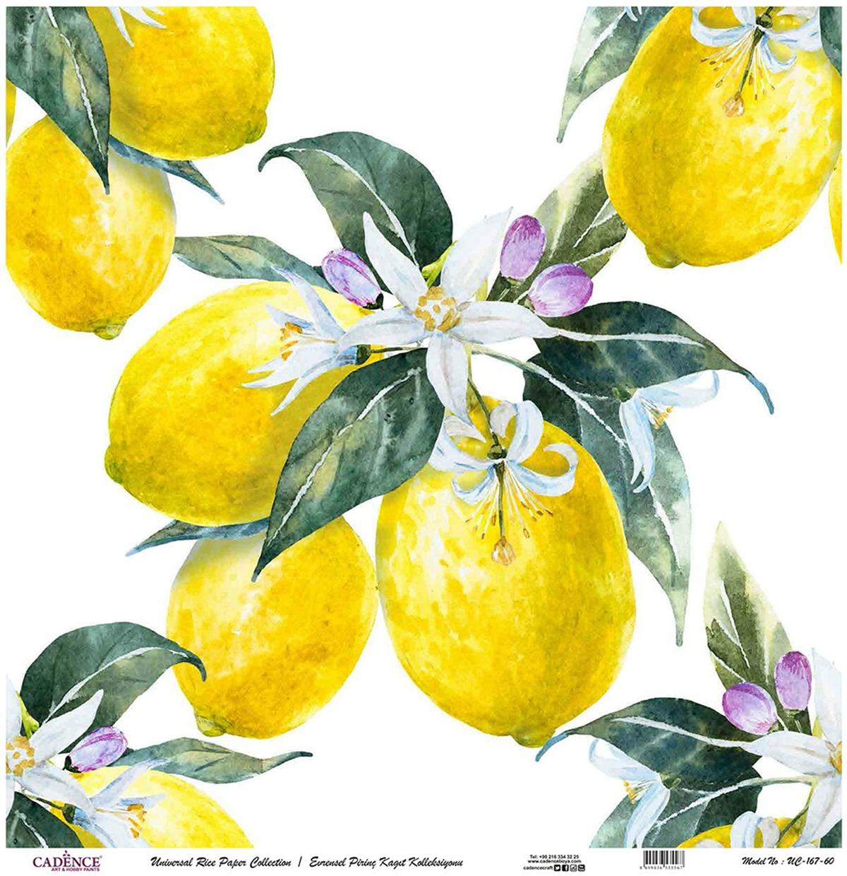 خلفية بيضاء من ورق الأرز العالمي Uc-167 مقاس 90x90