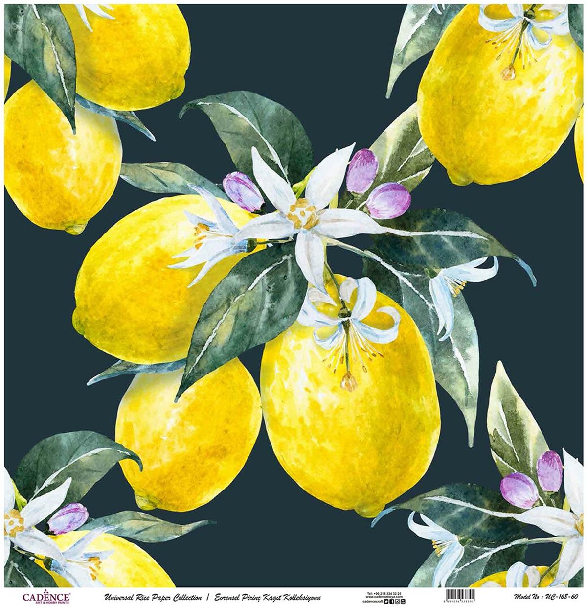 ورق الأرز العالمي خلفية سوداء Uc-168 90x90