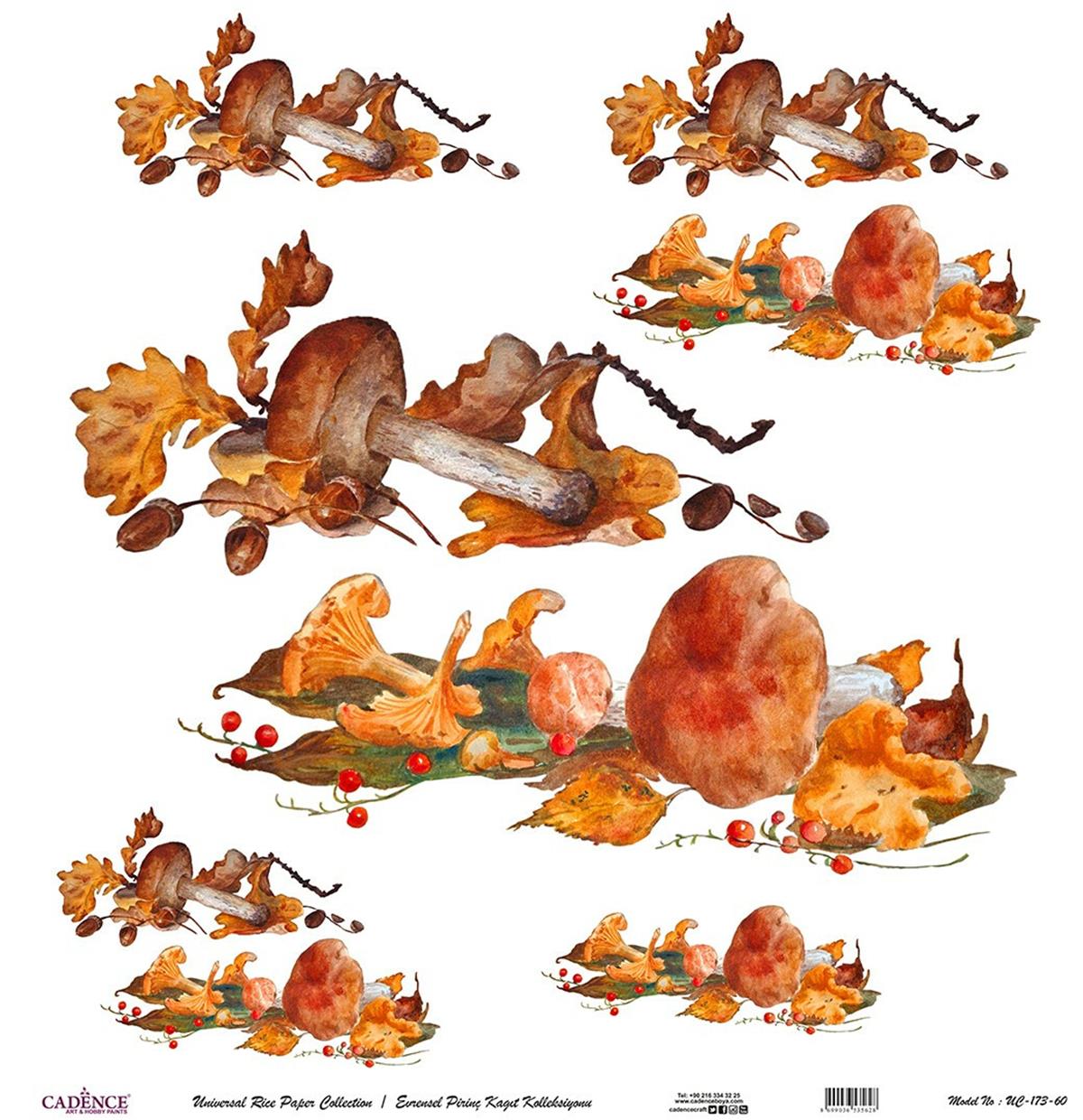 خلفية بيضاء من ورق الأرز العالمي Uc-173 مقاس 60x60