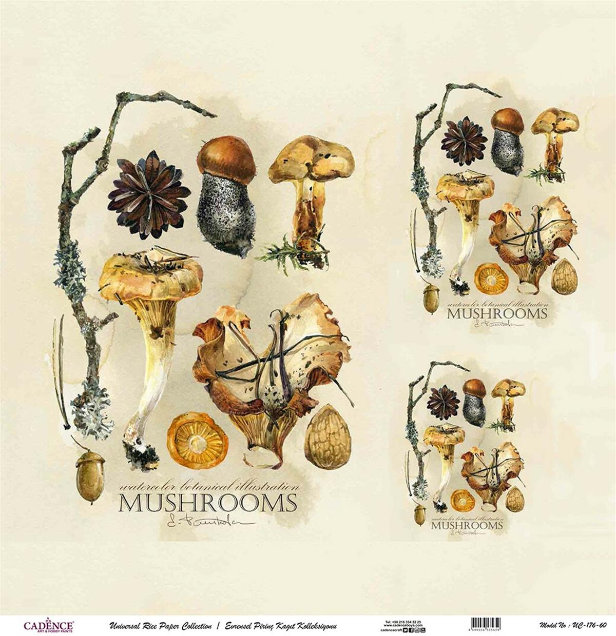 خلفية بيضاء من ورق الأرز العالمي Uc-176 مقاس 90x90