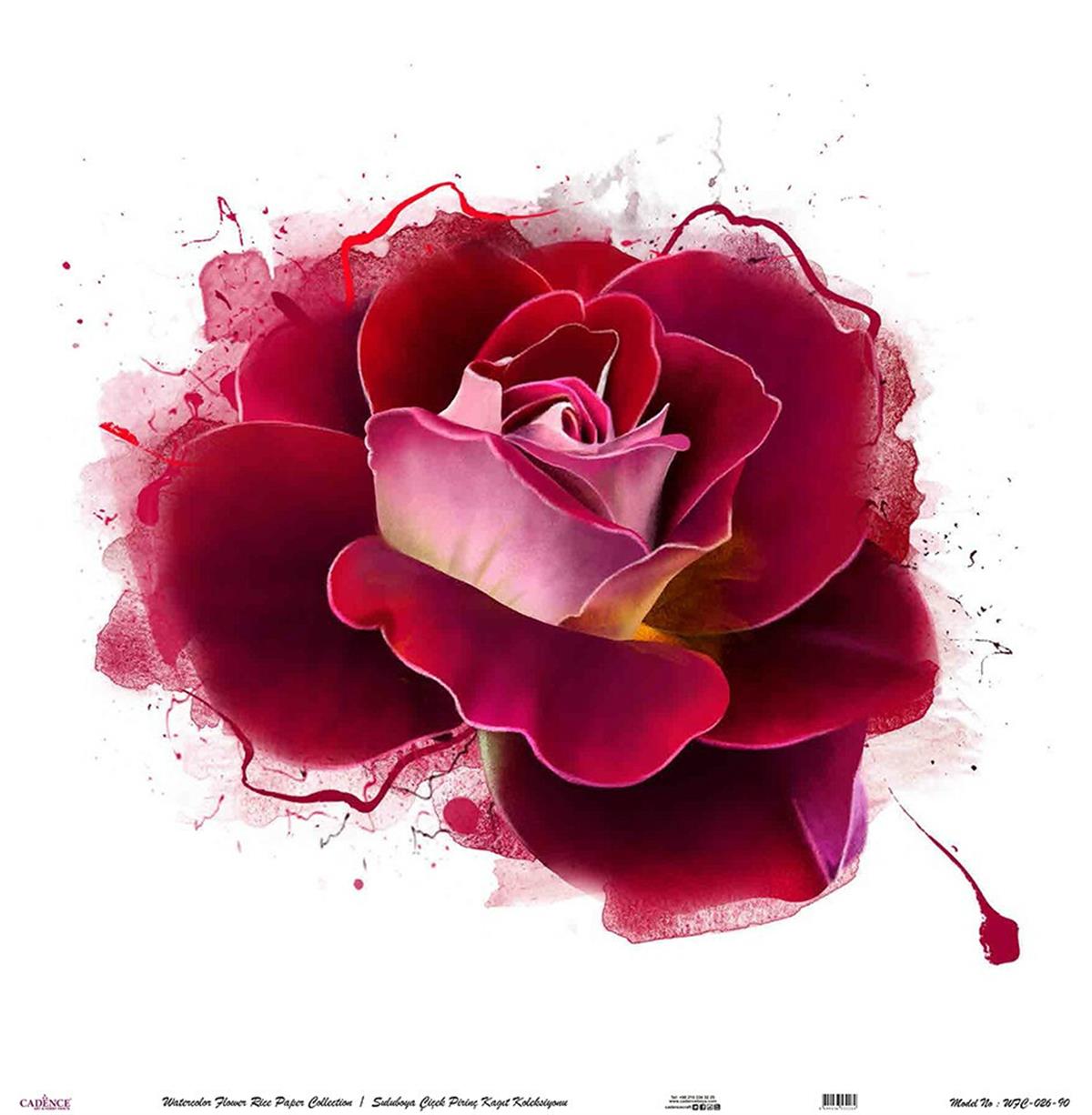 زهرة الأرز المائية ورقة خلفية بيضاء Wfc-026 60x60