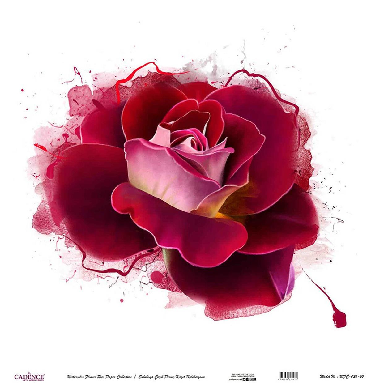 Акварель Цветок Рисовая Бумага Белом Фоне Wfc-026 30х30